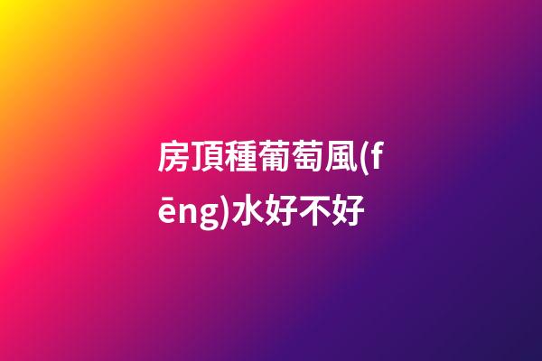 房頂種葡萄風(fēng)水好不好