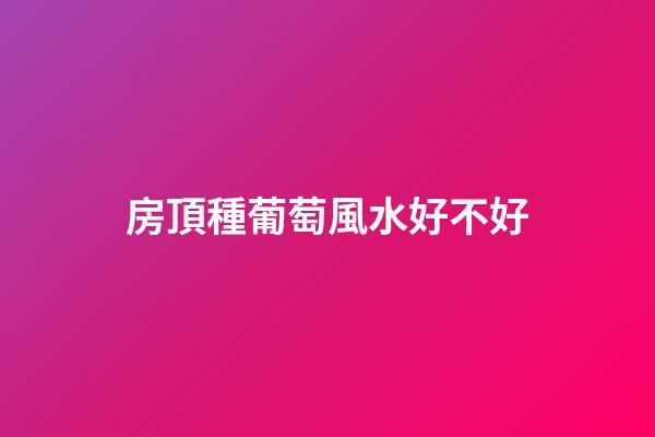 房頂種葡萄風水好不好