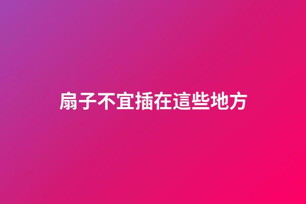 扇子不宜插在這些地方