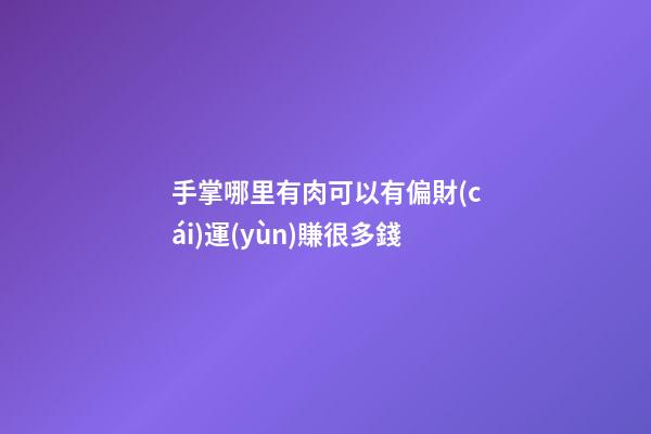手掌哪里有肉可以有偏財(cái)運(yùn)賺很多錢