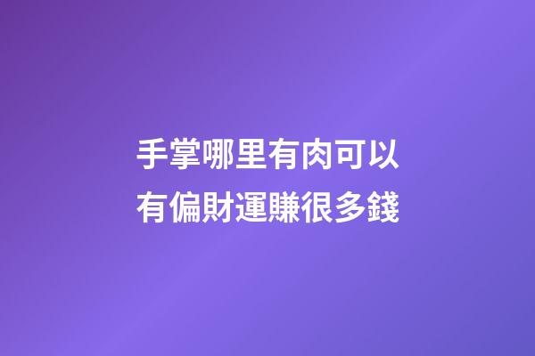 手掌哪里有肉可以有偏財運賺很多錢