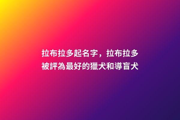 拉布拉多起名字，拉布拉多被評為最好的獵犬和導盲犬-第1張-觀點-玄機派