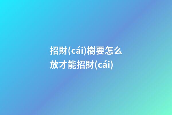 招財(cái)樹要怎么放才能招財(cái)