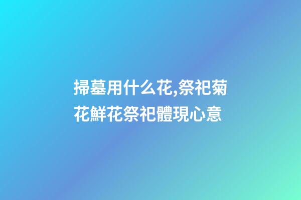 掃墓用什么花,祭祀菊花鮮花祭祀體現心意-第1張-觀點-玄機派
