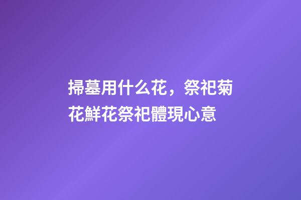 掃墓用什么花，祭祀菊花鮮花祭祀體現心意-第1張-觀點-玄機派