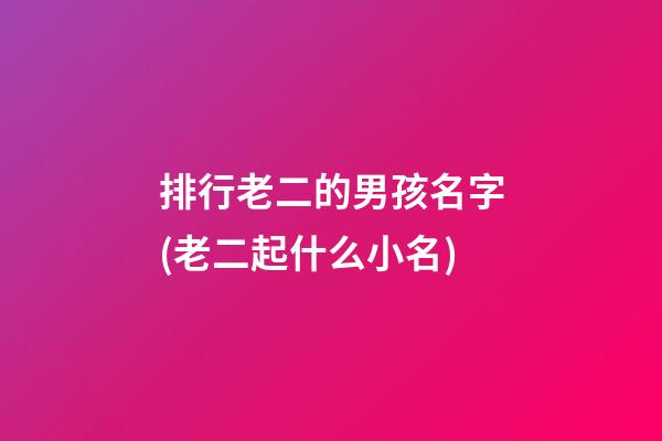 排行老二的男孩名字(老二起什么小名)