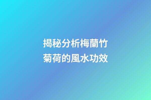揭秘分析梅蘭竹菊荷的風水功效