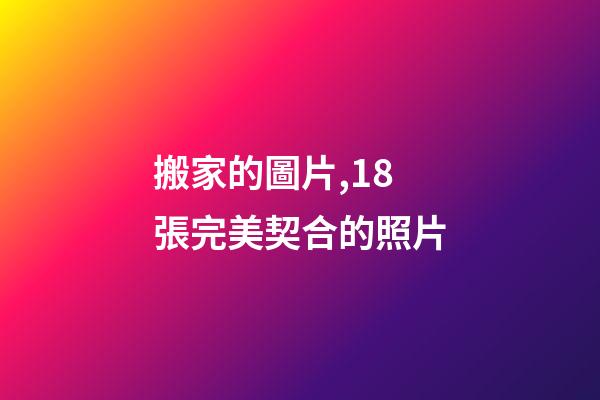 搬家的圖片,18張完美契合的照片-第1張-觀點(diǎn)-玄機(jī)派