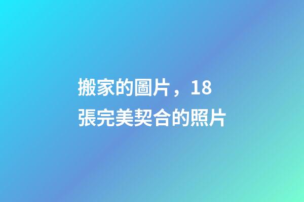 搬家的圖片，18張完美契合的照片-第1張-觀點(diǎn)-玄機(jī)派