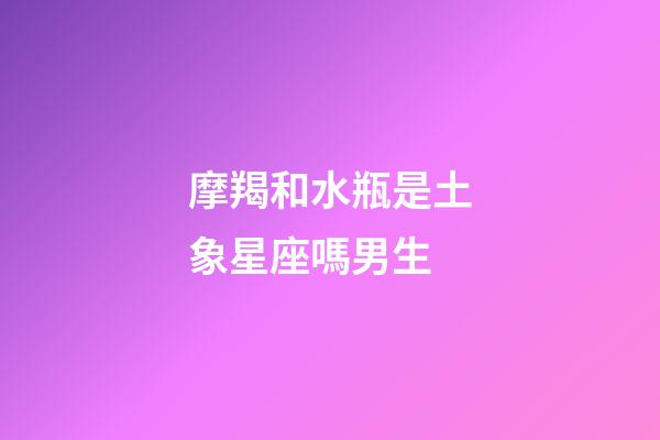 摩羯和水瓶是土象星座嗎男生-第1張-星座運勢-玄機派