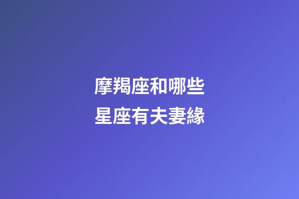 摩羯座和哪些星座有夫妻緣-第1張-星座運勢-玄機(jī)派