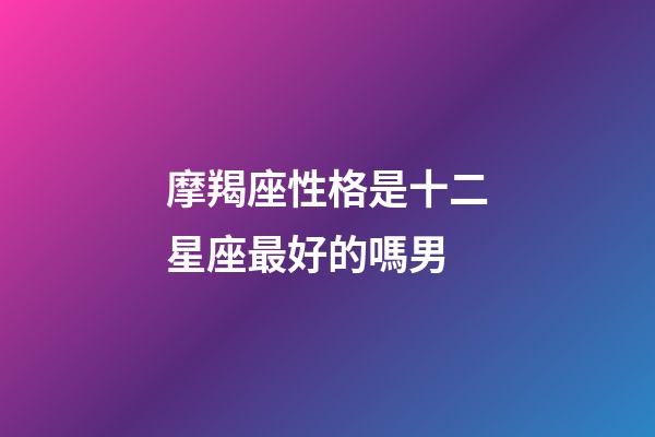 摩羯座性格是十二星座最好的嗎男-第1張-星座運勢-玄機派