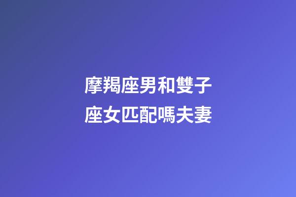 摩羯座男和雙子座女匹配嗎夫妻-第1張-星座運(yùn)勢(shì)-玄機(jī)派