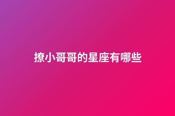 撩小哥哥的星座有哪些-第1張-星座運勢-玄機派