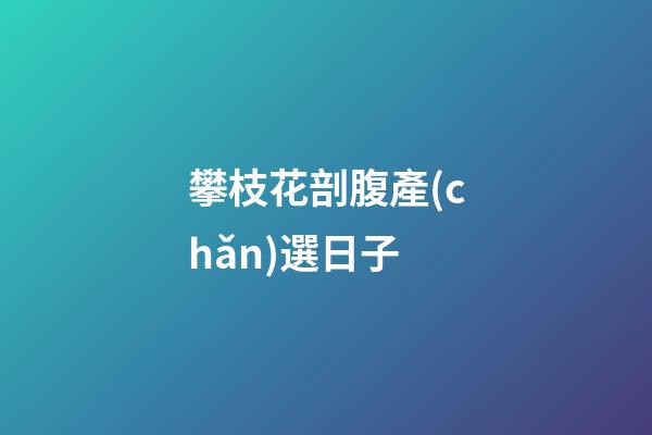 攀枝花剖腹產(chǎn)選日子