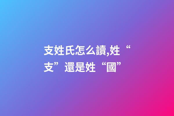 支姓氏怎么讀,姓“支”還是姓“國”-第1張-觀點-玄機派