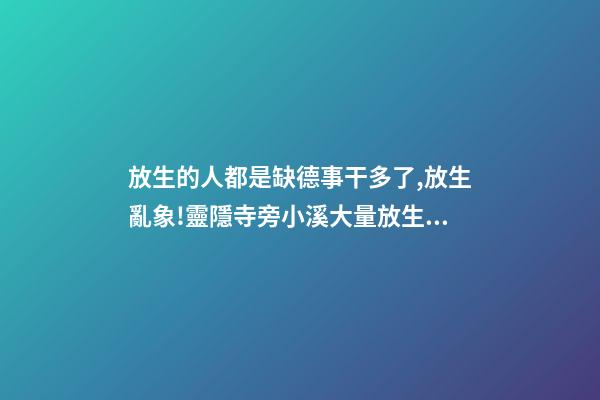 放生的人都是缺德事干多了,放生亂象!靈隱寺旁小溪大量放生烏龜死亡-第1張-觀點(diǎn)-玄機(jī)派