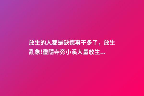 放生的人都是缺德事干多了，放生亂象!靈隱寺旁小溪大量放生烏龜死亡-第1張-觀點(diǎn)-玄機(jī)派