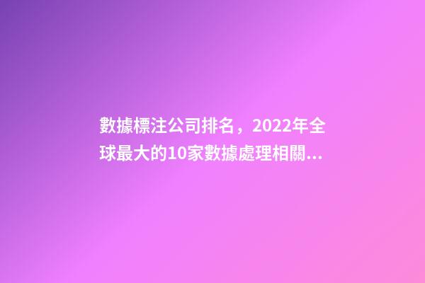 數據標注公司排名，2022年全球最大的10家數據處理相關的創業公司-第1張-觀點-玄機派