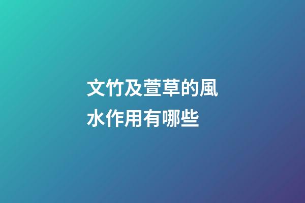 文竹及萱草的風水作用有哪些?