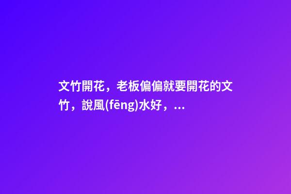 文竹開花，老板偏偏就要開花的文竹，說風(fēng)水好，植物與風(fēng)水講究多