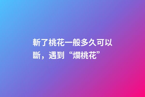 斬了桃花一般多久可以斷，遇到“爛桃花”-第1張-觀點(diǎn)-玄機(jī)派