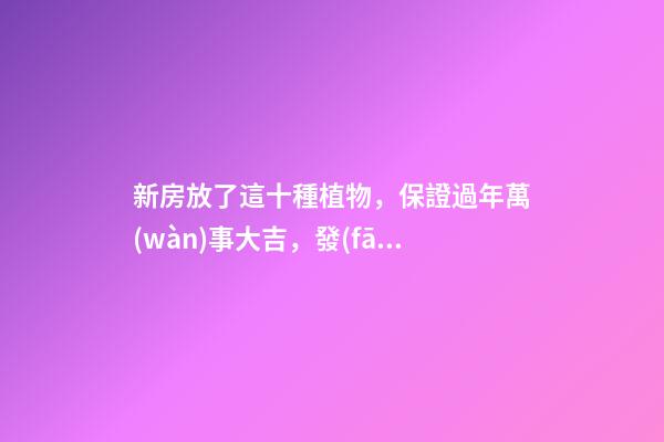 新房放了這十種植物，保證過年萬(wàn)事大吉，發(fā)大財(cái)！