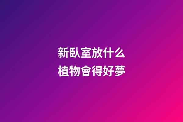 新臥室放什么植物會得好夢