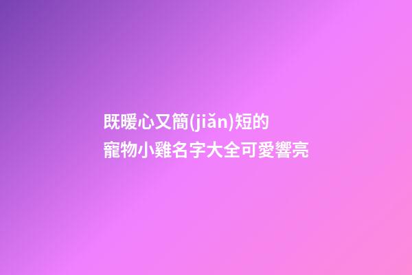 既暖心又簡(jiǎn)短的寵物小雞名字大全可愛響亮