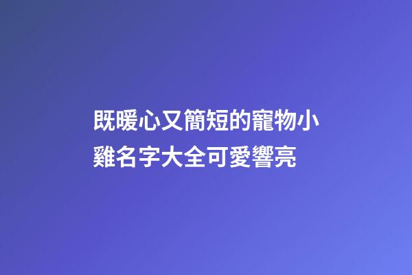 既暖心又簡短的寵物小雞名字大全可愛響亮