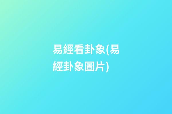 易經看卦象(易經卦象圖片)