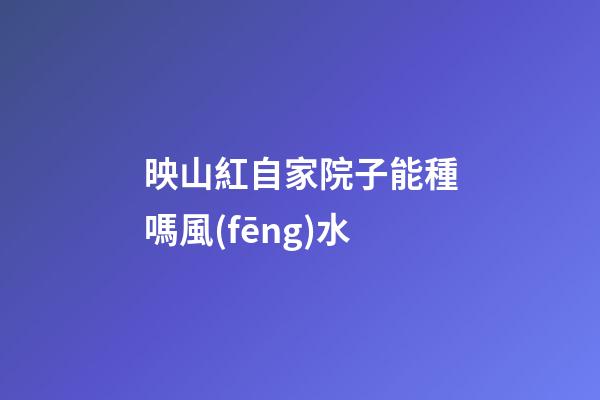 映山紅自家院子能種嗎風(fēng)水