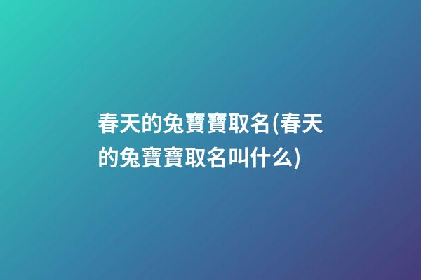 春天的兔寶寶取名(春天的兔寶寶取名叫什么)