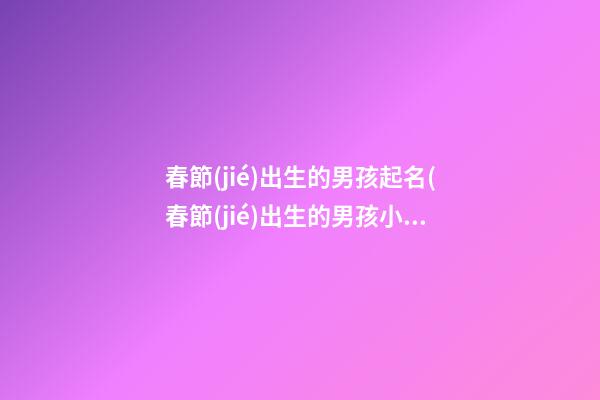 春節(jié)出生的男孩起名(春節(jié)出生的男孩小名)