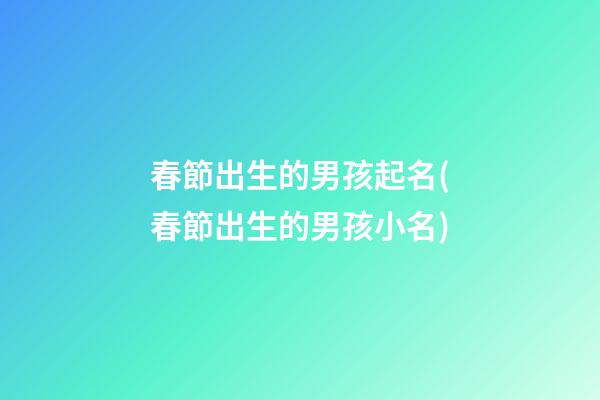 春節出生的男孩起名(春節出生的男孩小名)