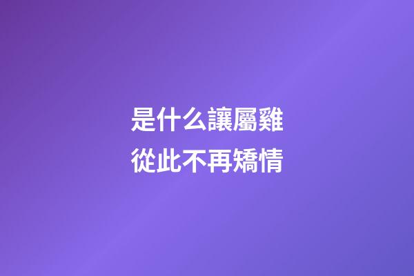 是什么讓屬雞從此不再矯情