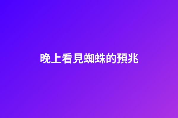 晚上看見蜘蛛的預兆
