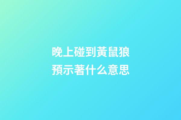 晚上碰到黃鼠狼預示著什么意思