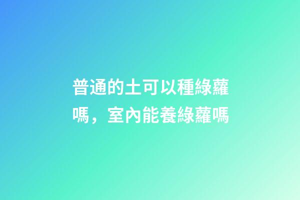 普通的土可以種綠蘿嗎，室內能養綠蘿嗎-第1張-觀點-玄機派