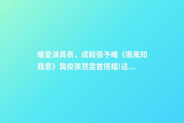 暖愛演員表，成毅張予曦《南風知我意》龔俊張慧雯首搭檔!這些cp你期待嗎-第1張-觀點-玄機派