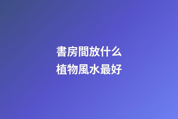 書房間放什么植物風水最好