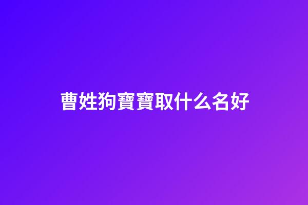 曹姓狗寶寶取什么名好(姓曹的小孩起什么名字好)-第1張-寶寶起名-玄機派