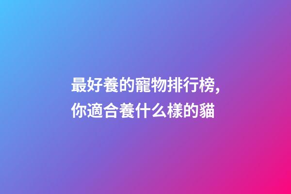 最好養的寵物排行榜,你適合養什么樣的貓-第1張-觀點-玄機派