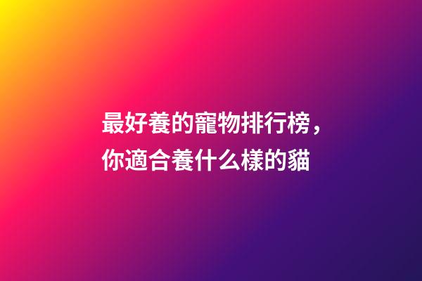 最好養的寵物排行榜，你適合養什么樣的貓