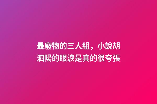 最廢物的三人組，小說胡泗陽的眼淚是真的很夸張-第1張-觀點-玄機派
