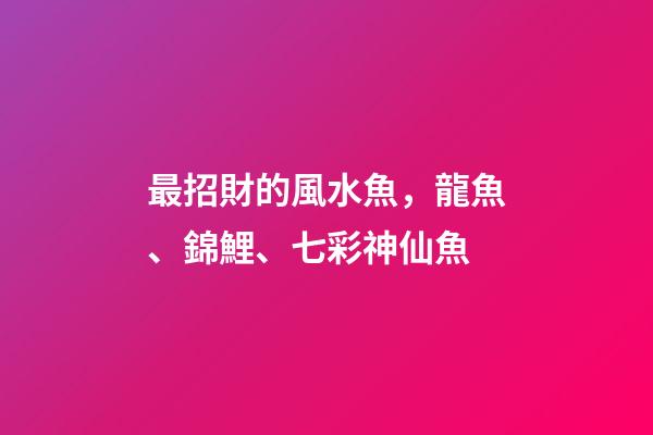 最招財的風水魚，龍魚、錦鯉、七彩神仙魚