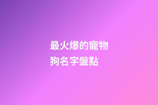 最火爆的寵物狗名字盤點