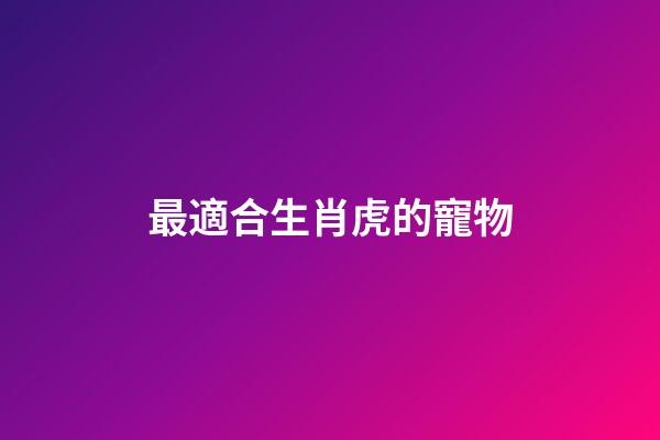 最適合生肖虎的寵物
