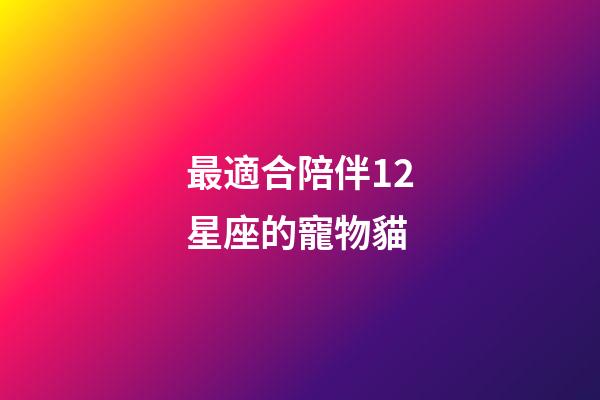 最適合陪伴12星座的寵物貓-第1張-星座運勢-玄機派