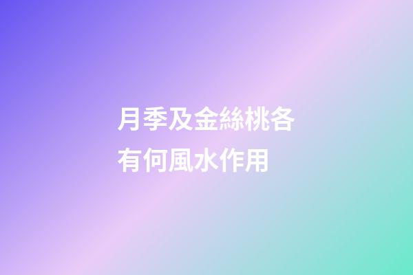 月季及金絲桃各有何風水作用?